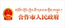 合作市人民政府